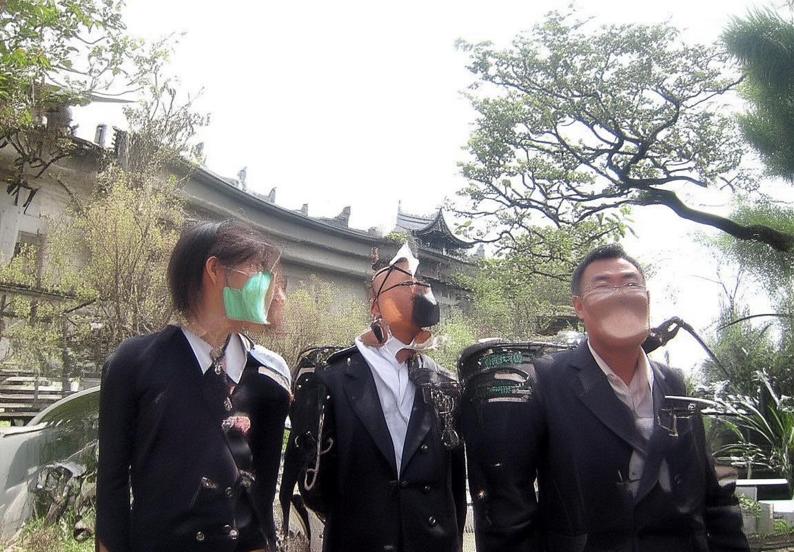 绿茵激战：保加利亚vs捷克威尔士，团队精神与球星风采对决(图4)