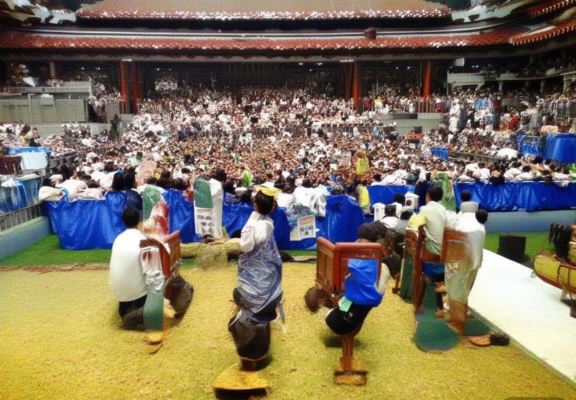 绿茵激战：保加利亚vs捷克威尔士，团队精神与球星风采对决(图1)